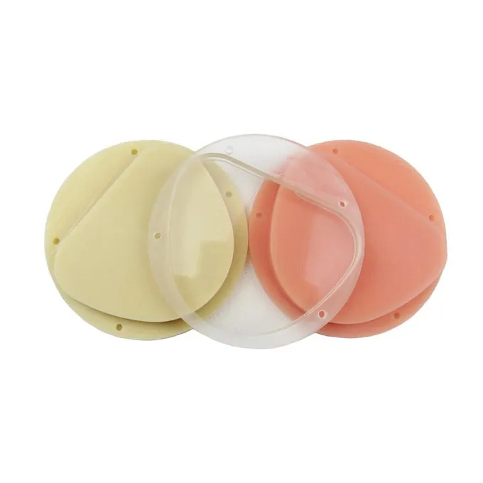 Dental PMMA Disc Bleach